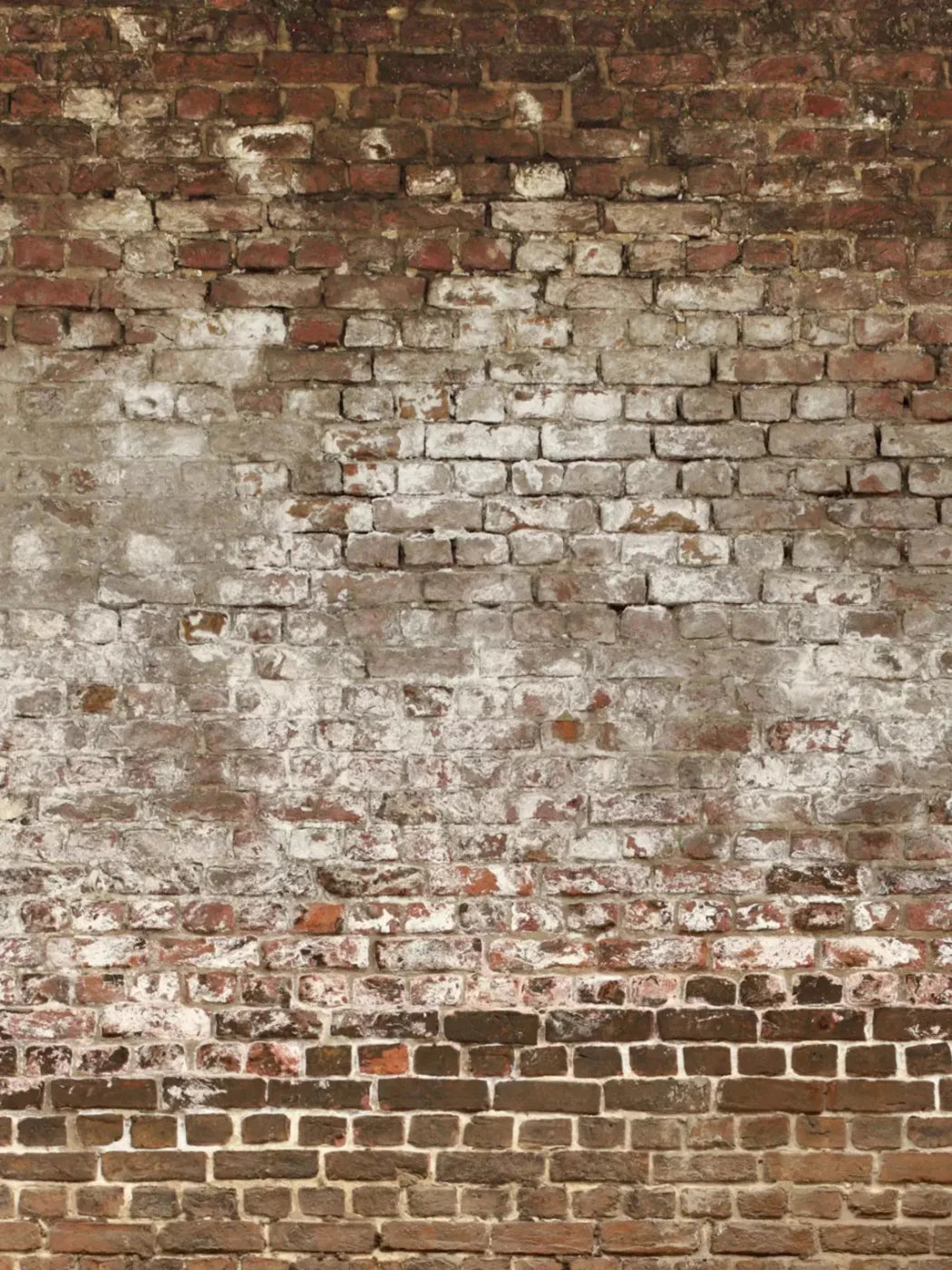Urban Decay 8X10 Fleece ( 96 X 120 Inch ) Backdrop