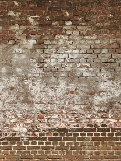 Urban Decay 8X10 Fleece ( 96 X 120 Inch ) Backdrop
