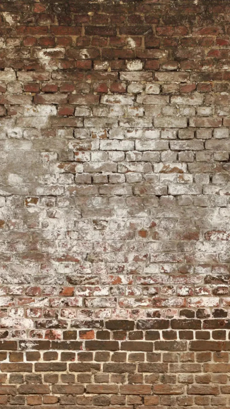 Urban Decay 8X14 Ultracloth ( 96 X 168 Inch ) Backdrop