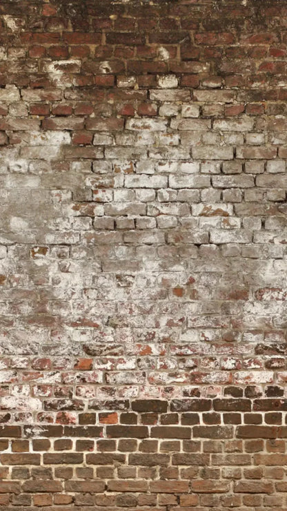 Urban Decay 8X14 Ultracloth ( 96 X 168 Inch ) Backdrop
