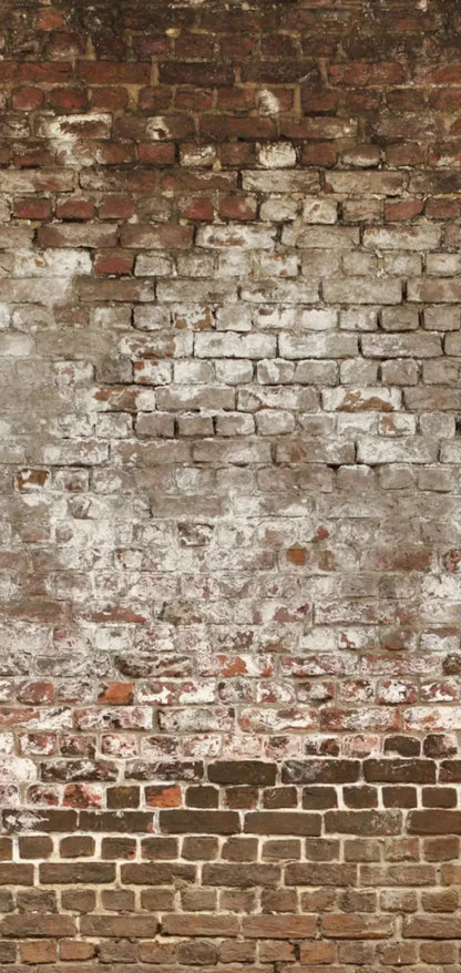 Urban Decay 8X16 Ultracloth ( 96 X 192 Inch ) Backdrop