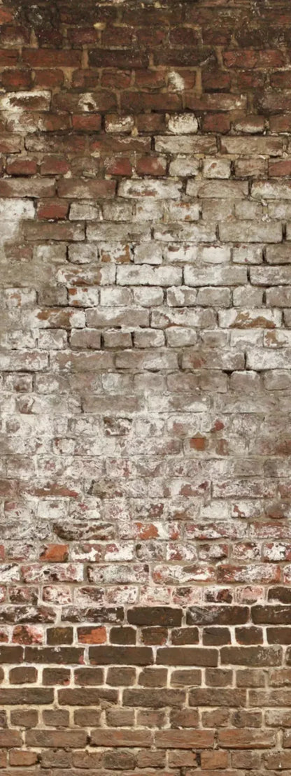 Urban Decay 8X20 Ultracloth ( 96 X 240 Inch ) Backdrop