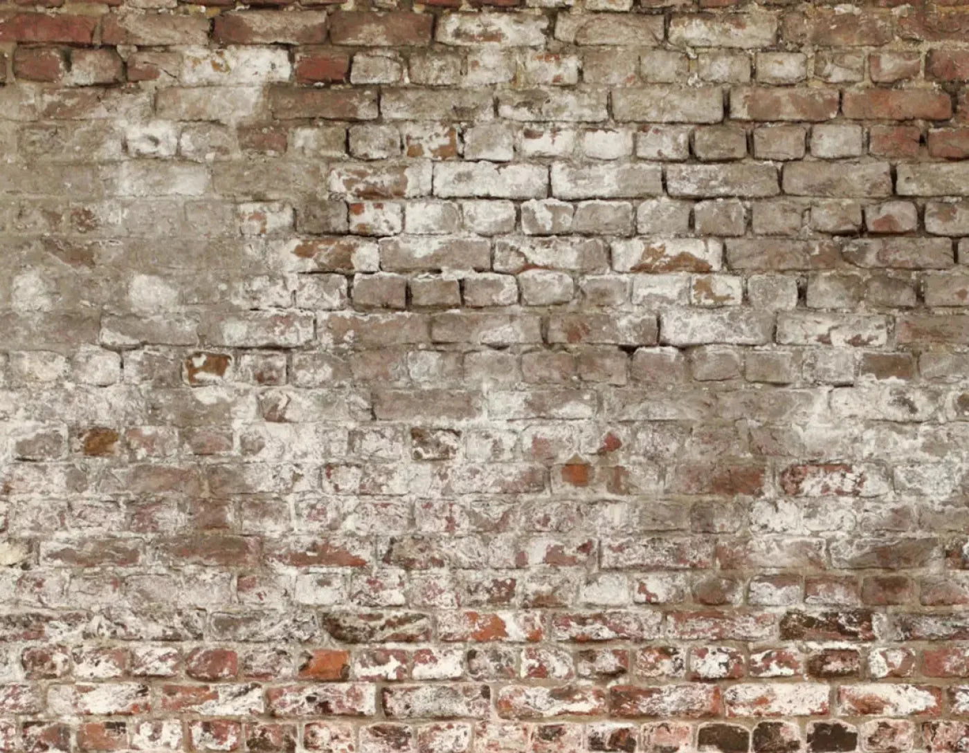 Urban Decay 8X6 Fleece ( 96 X 72 Inch ) Backdrop