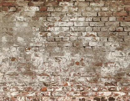 Urban Decay 8X6 Fleece ( 96 X 72 Inch ) Backdrop