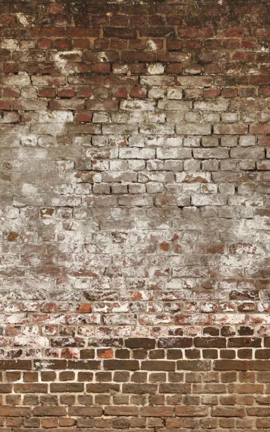 Urban Decay 9X14 Ultracloth ( 108 X 168 Inch ) Backdrop
