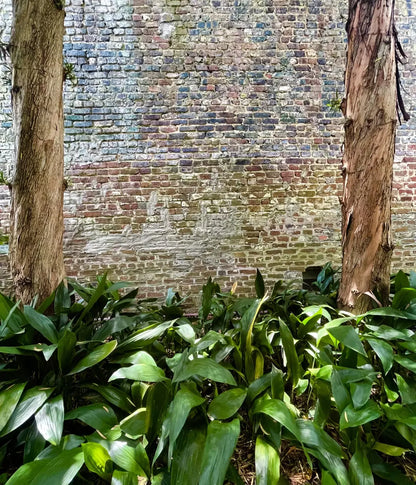 Urban Plant Wall 10X12 Ultracloth ( 120 X 144 Inch ) Backdrop
