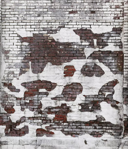 Urban Snow 10X12 Ultracloth ( 120 X 144 Inch ) Backdrop