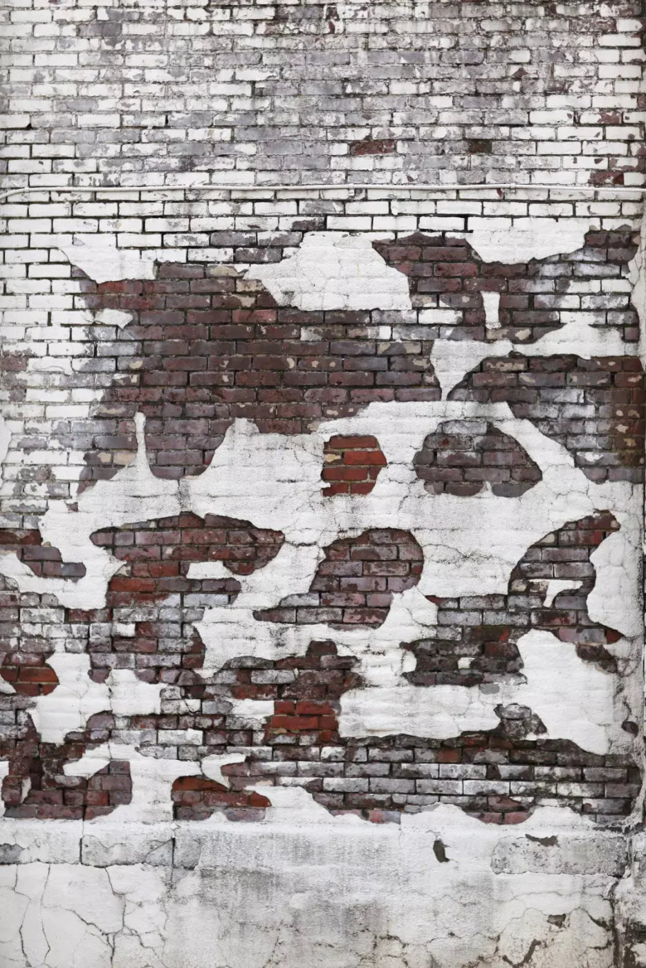 Urban Snow 5X8 Ultracloth ( 60 X 96 Inch ) Backdrop