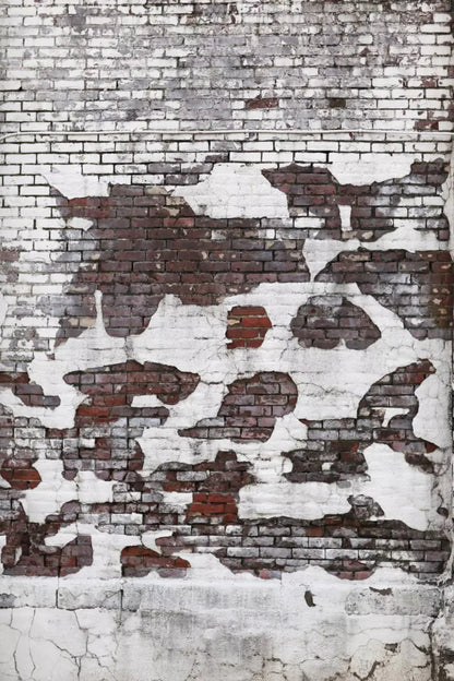 Urban Snow 5X8 Ultracloth ( 60 X 96 Inch ) Backdrop