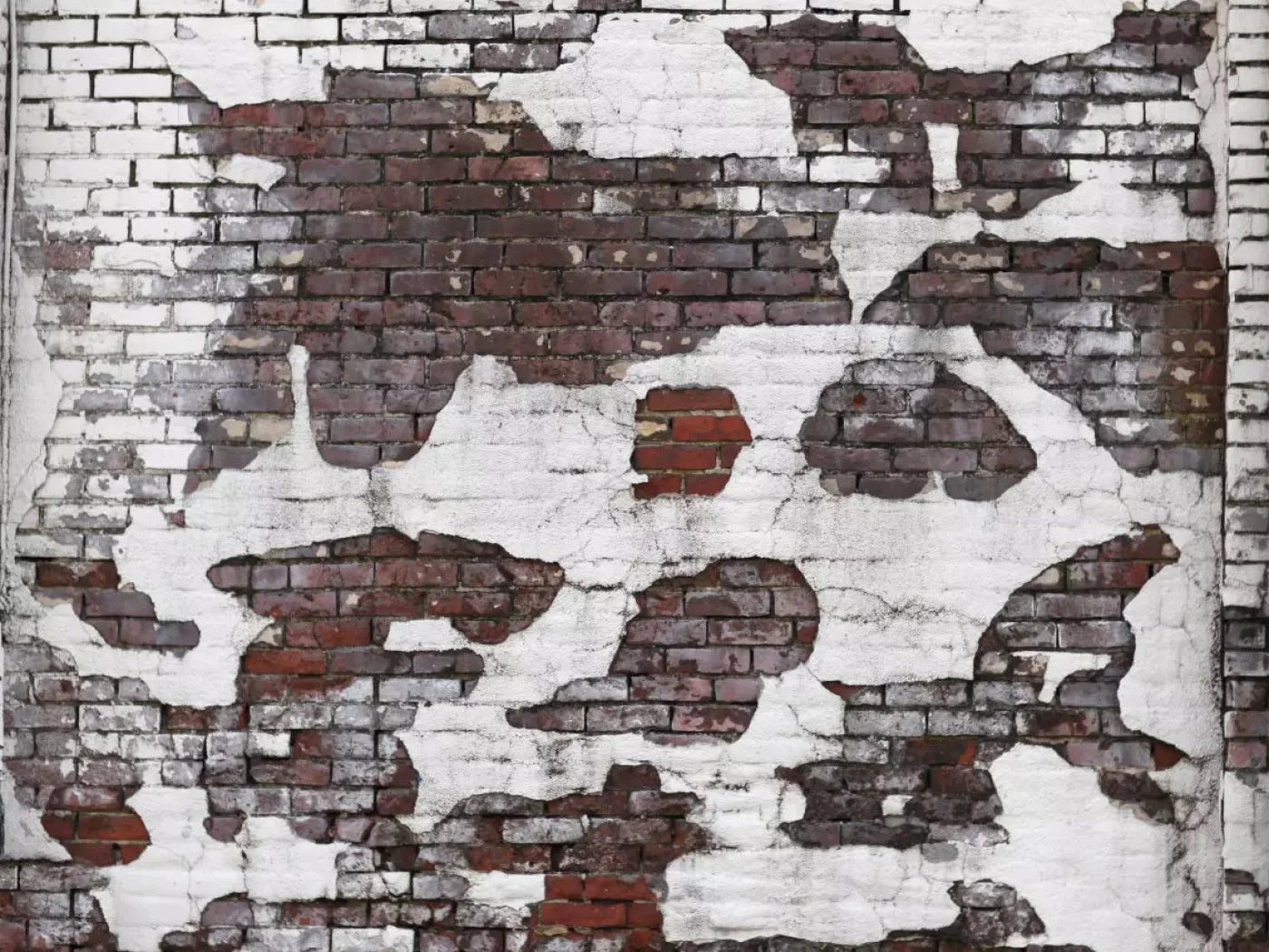 Urban Snow 68X5 Fleece ( 80 X 60 Inch ) Backdrop