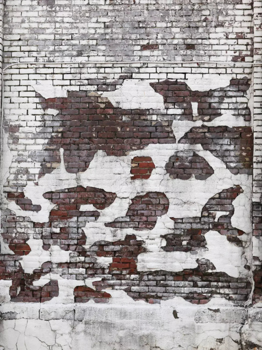 Urban Snow 8X10 Fleece ( 96 X 120 Inch ) Backdrop