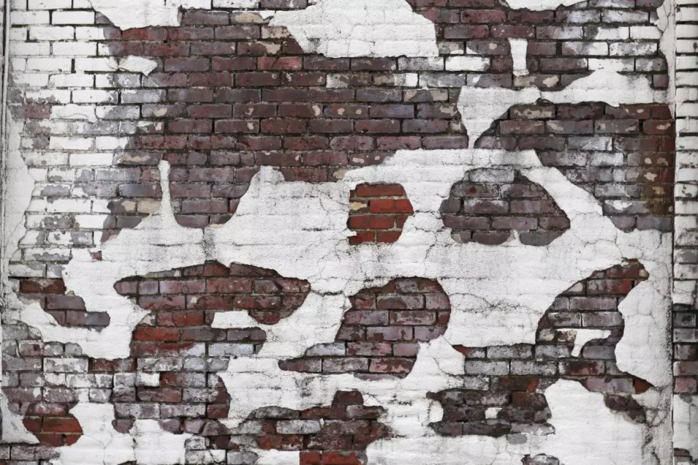 Urban Snow 8X5 Ultracloth ( 96 X 60 Inch ) Backdrop