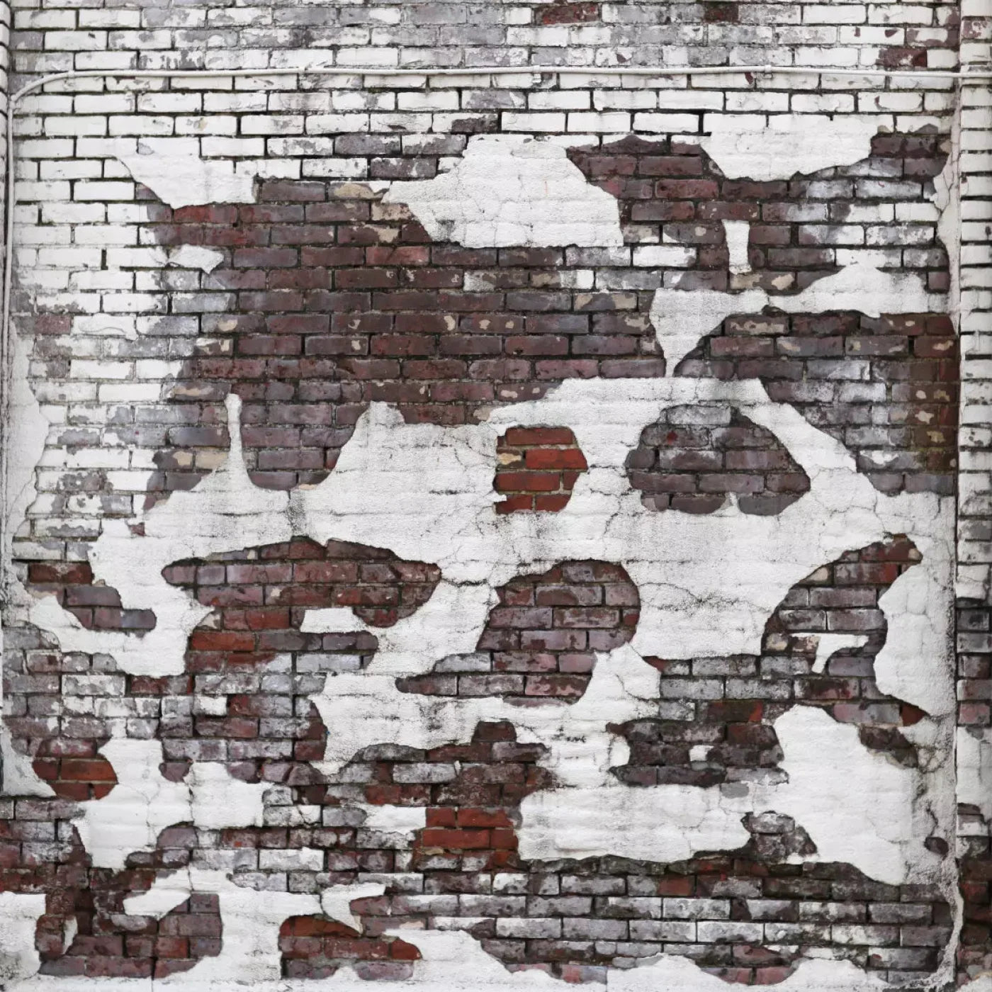 Urban Snow 8X8 Fleece ( 96 X Inch ) Backdrop