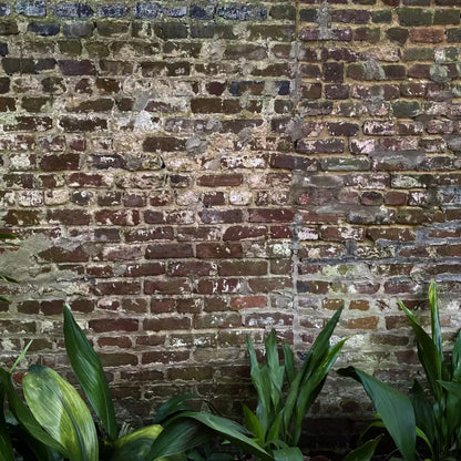 Urban Wall 10X10 Ultracloth ( 120 X Inch ) Backdrop