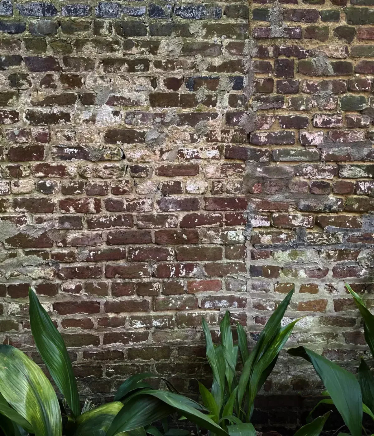 Urban Wall 10X12 Ultracloth ( 120 X 144 Inch ) Backdrop