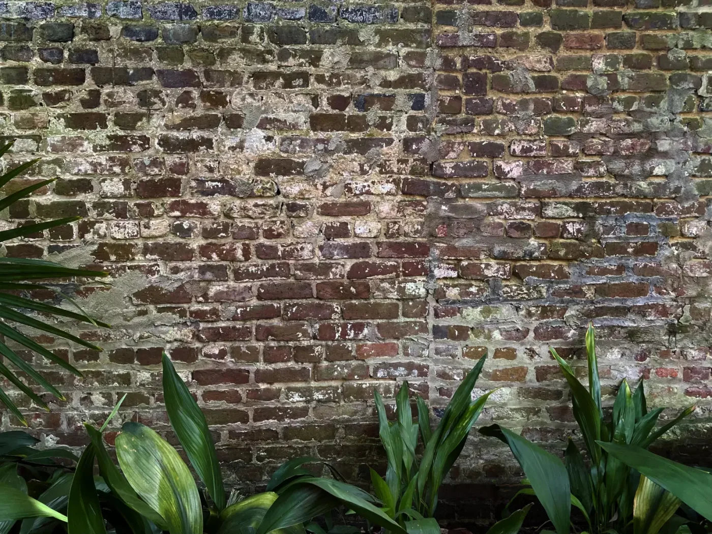 Urban Wall 7X5 Ultracloth ( 84 X 60 Inch ) Backdrop