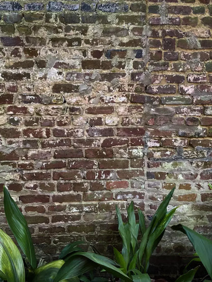 Urban Wall 8X10 Fleece ( 96 X 120 Inch ) Backdrop