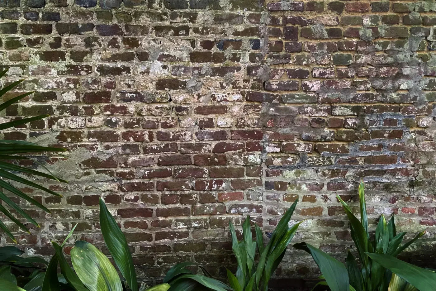 Urban Wall 8X5 Ultracloth ( 96 X 60 Inch ) Backdrop