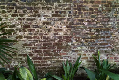 Urban Wall 8X5 Ultracloth ( 96 X 60 Inch ) Backdrop