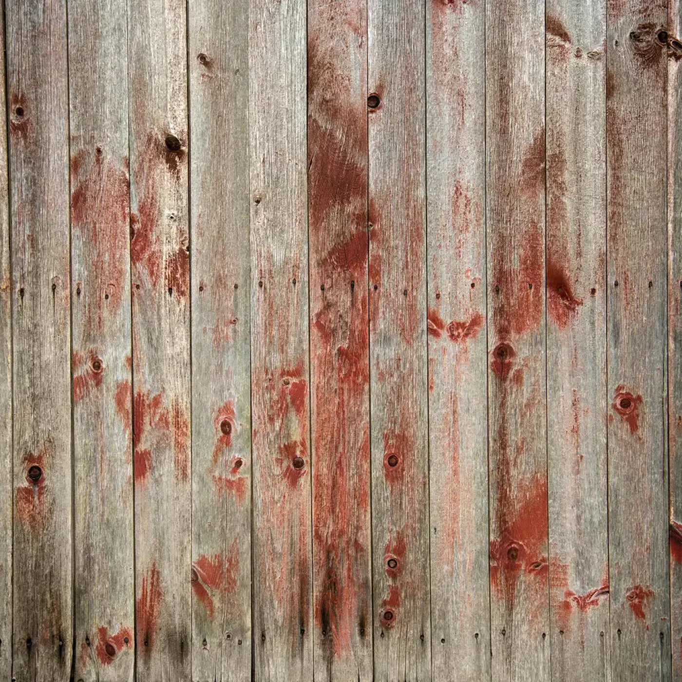 Variegated Red Backdrop