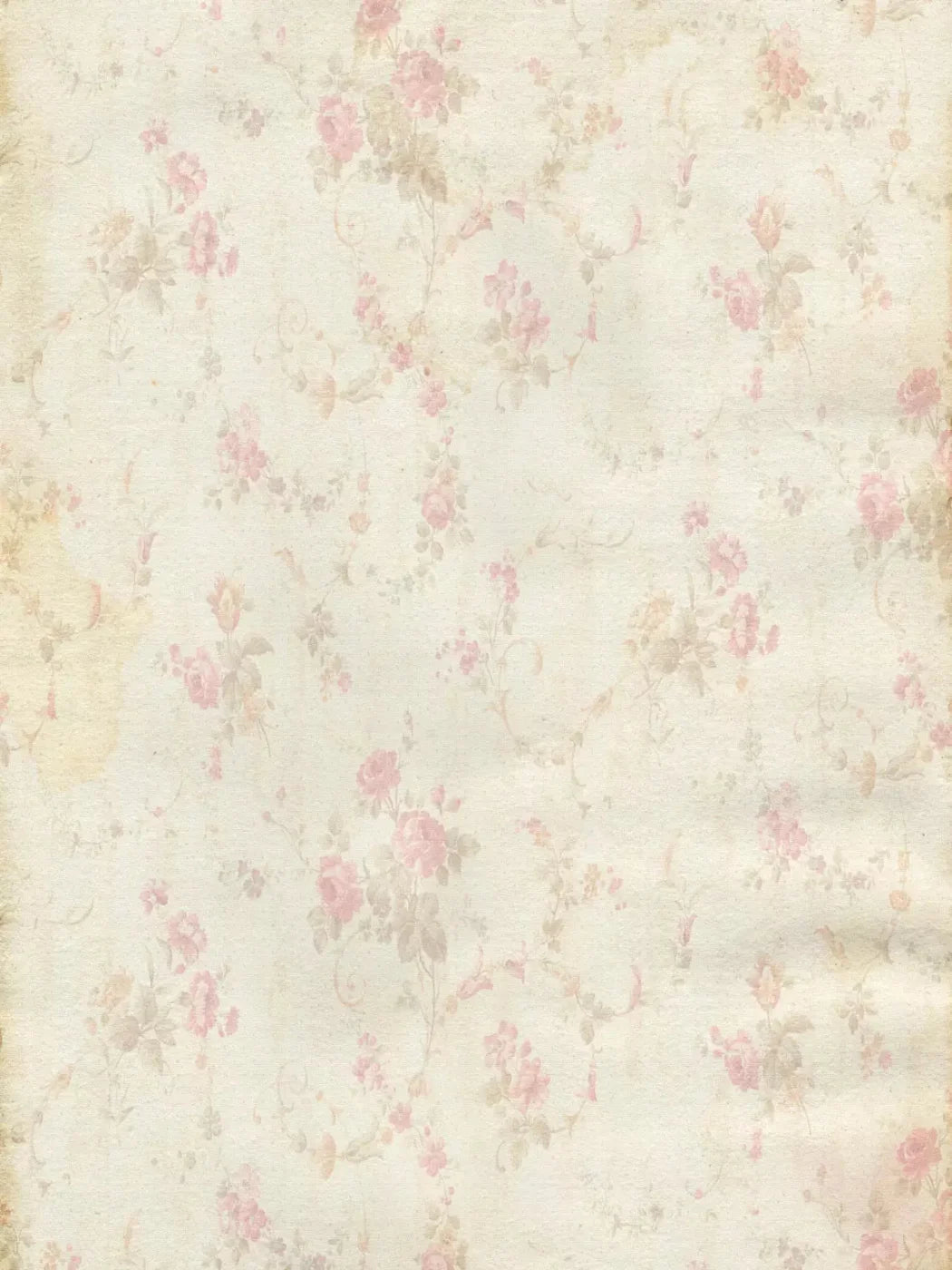Victorian Rose 8X10 Fleece ( 96 X 120 Inch ) Backdrop
