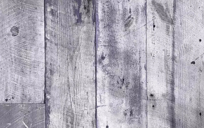 Vida 14X9 Ultracloth ( 168 X 108 Inch ) Backdrop