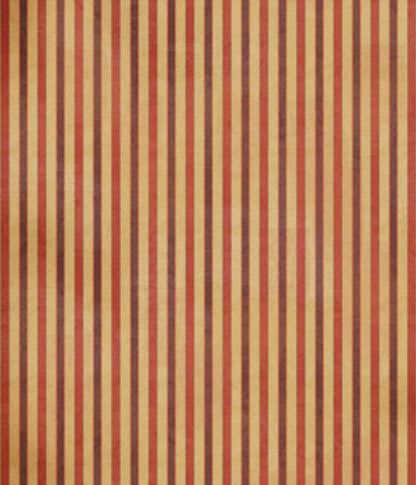 Villa 10X12 Ultracloth ( 120 X 144 Inch ) Backdrop