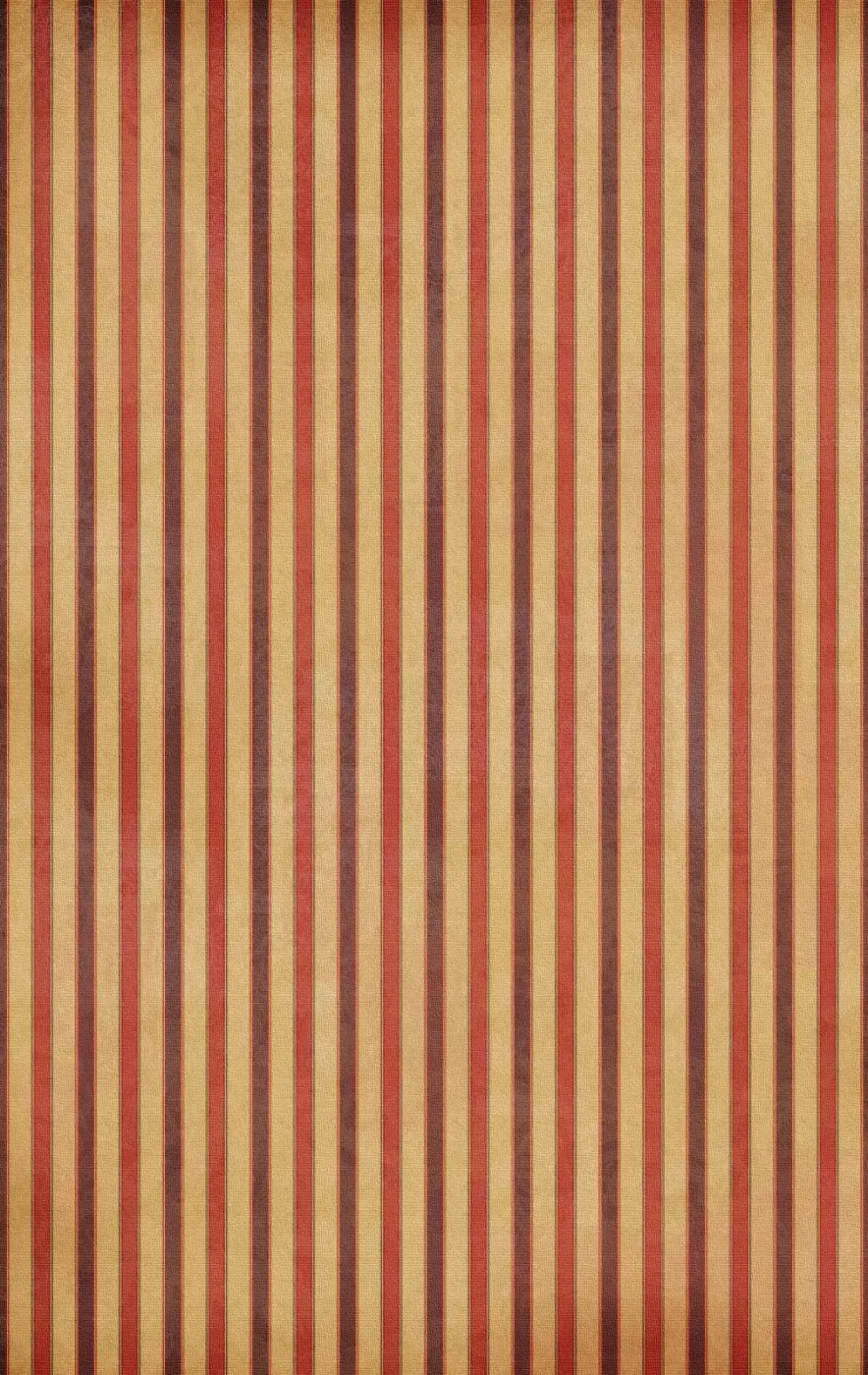 Villa 10X16 Ultracloth ( 120 X 192 Inch ) Backdrop