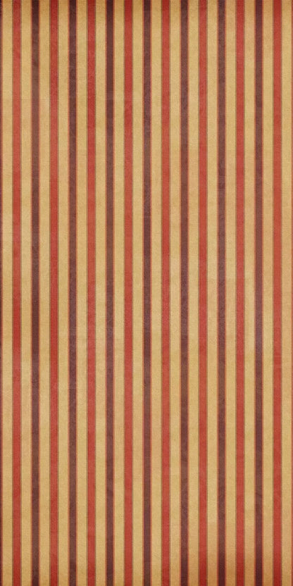 Villa 10X20 Ultracloth ( 120 X 240 Inch ) Backdrop