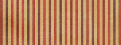 Villa 20X8 Ultracloth ( 240 X 96 Inch ) Backdrop