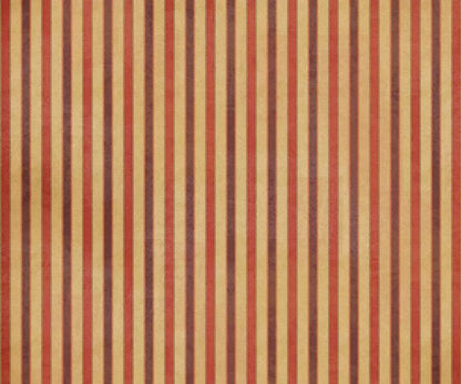 Villa 5X42 Fleece ( 60 X 50 Inch ) Backdrop