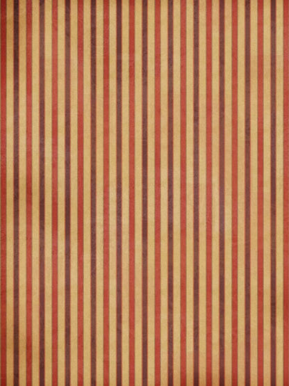 Villa 8X10 Fleece ( 96 X 120 Inch ) Backdrop