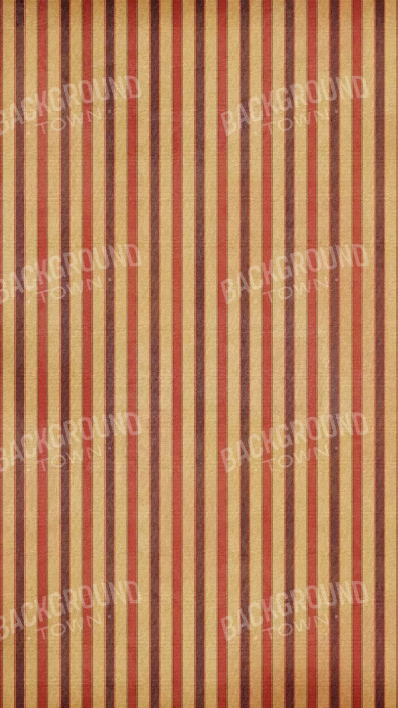 Villa 8X14 Ultracloth ( 96 X 168 Inch ) Backdrop