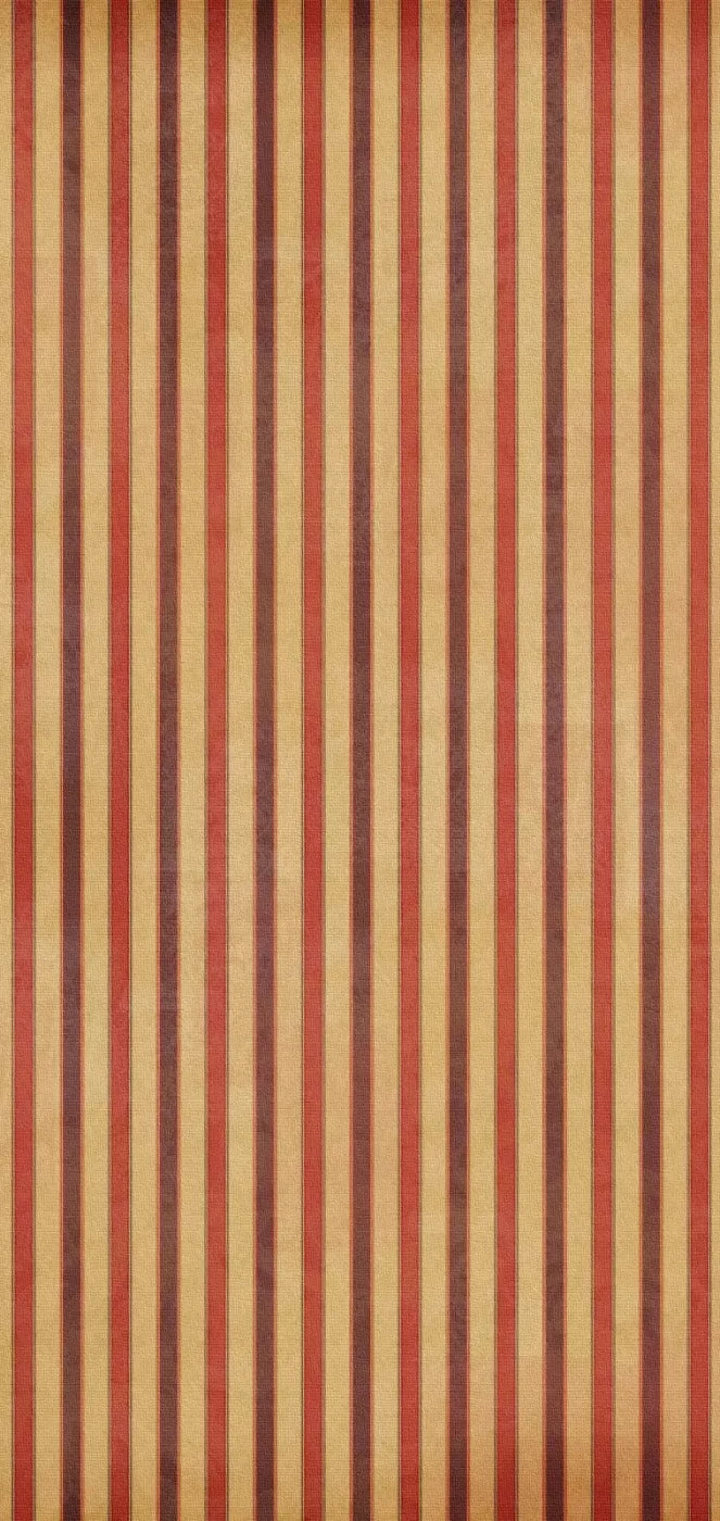 Villa 8X16 Ultracloth ( 96 X 192 Inch ) Backdrop
