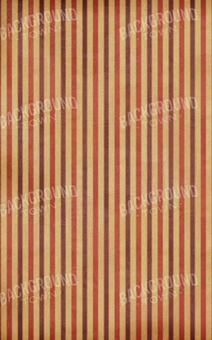 Villa 9X14 Ultracloth ( 108 X 168 Inch ) Backdrop