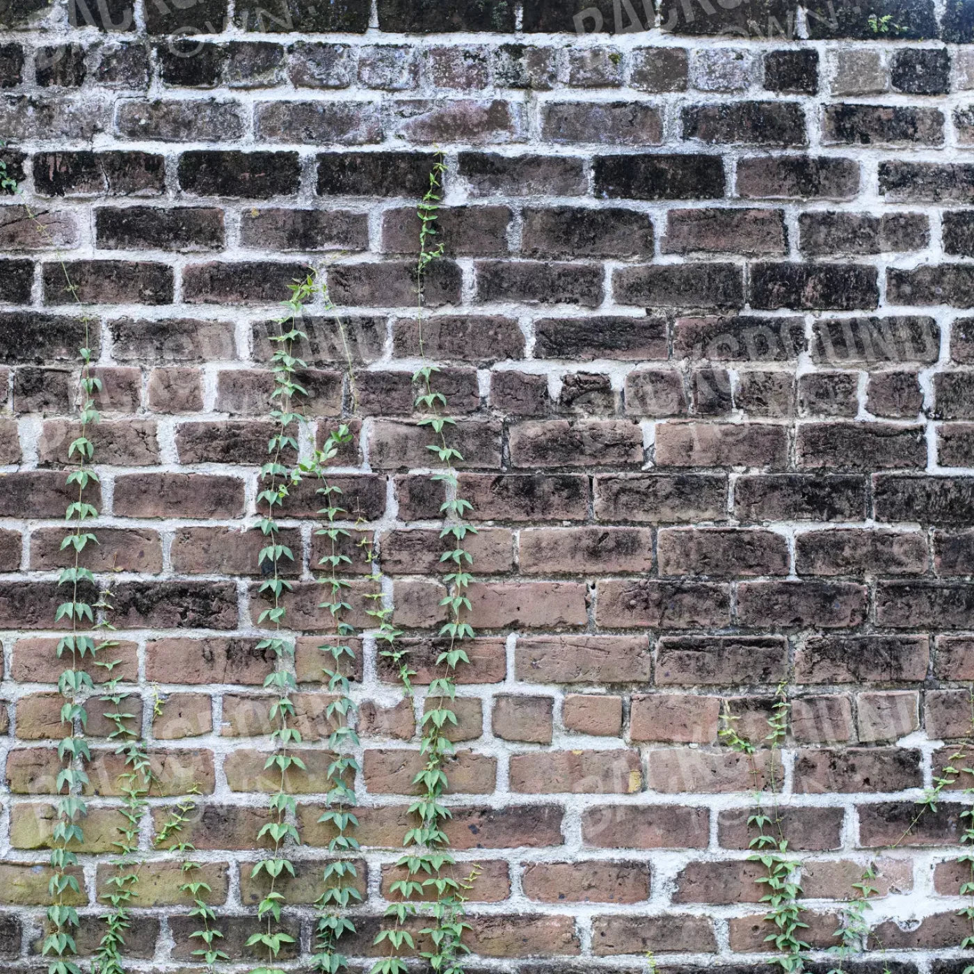 Vine Stone 10X10 Ultracloth ( 120 X Inch ) Backdrop