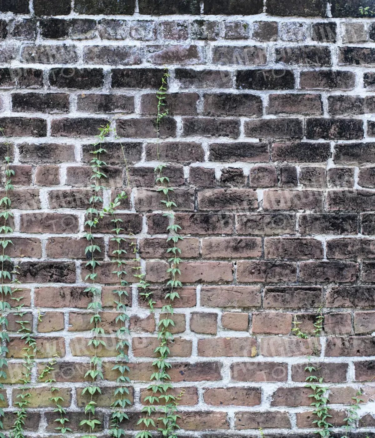 Vine Stone 10X12 Ultracloth ( 120 X 144 Inch ) Backdrop