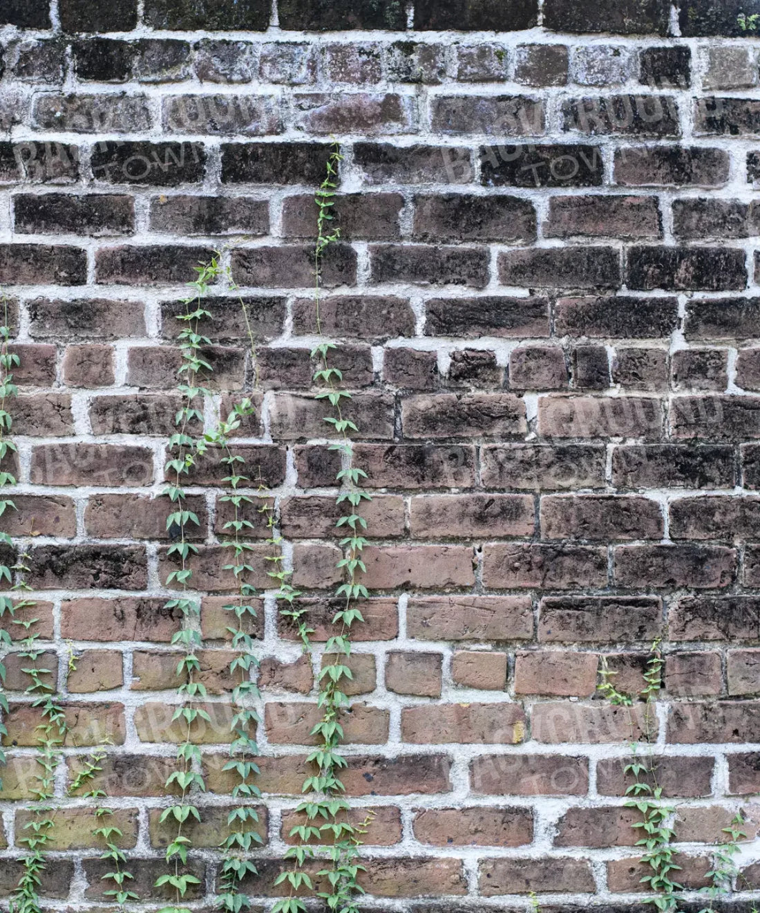 Beige Brick and Stone Backdrop for Photography