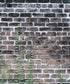 Beige Brick and Stone Backdrop for Photography