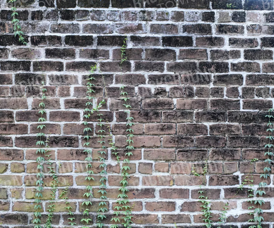 Vine Stone 5X42 Fleece ( 60 X 50 Inch ) Backdrop