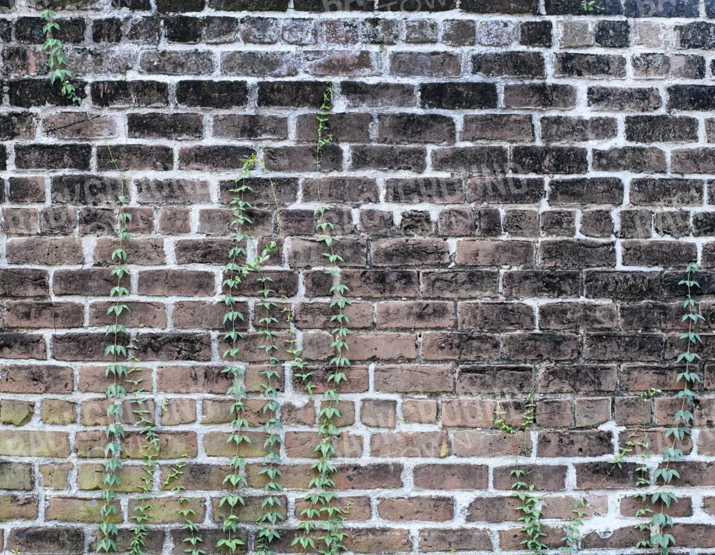 Vine Stone 8X6 Fleece ( 96 X 72 Inch ) Backdrop