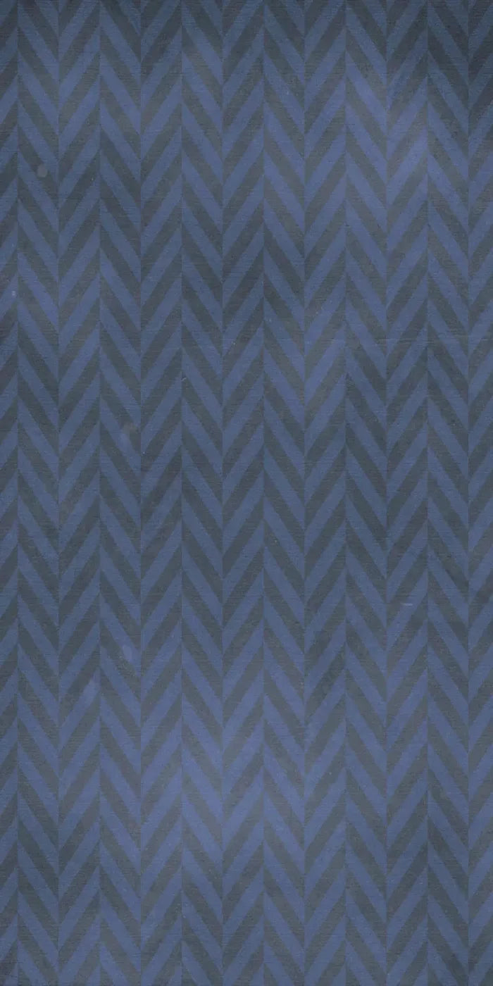 Vinnie 10X20 Ultracloth ( 120 X 240 Inch ) Backdrop