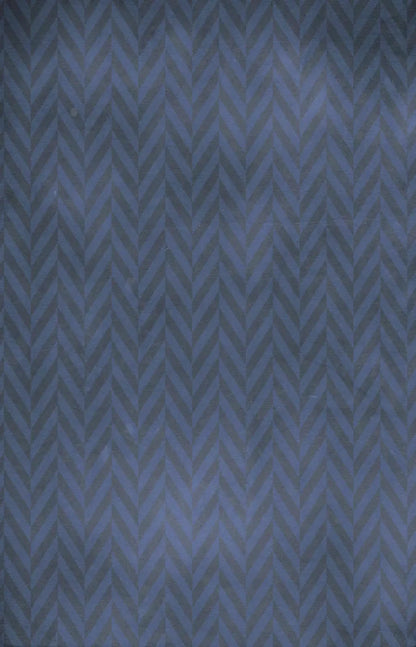 Vinnie 8X12 Ultracloth ( 96 X 144 Inch ) Backdrop