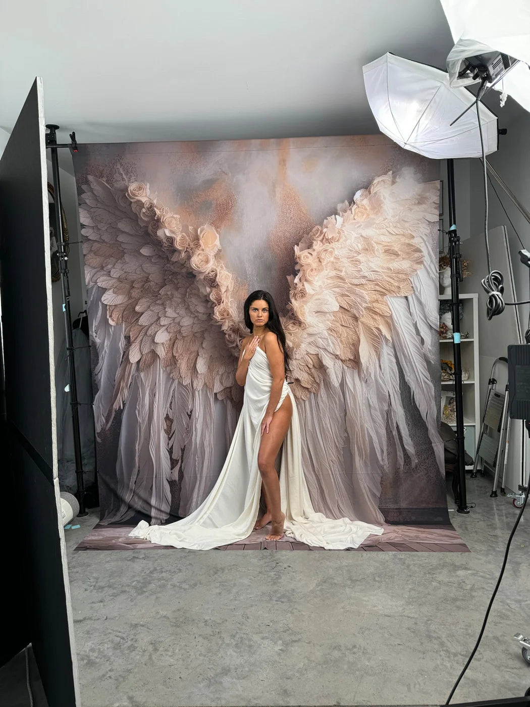 Vintage Angel Wings Ii Backdrop