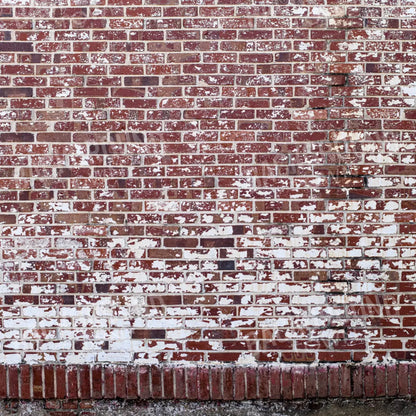 Vintage Brick 10X10 Ultracloth ( 120 X Inch ) Backdrop