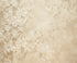 Beige Brown  Backdrop for Photography
