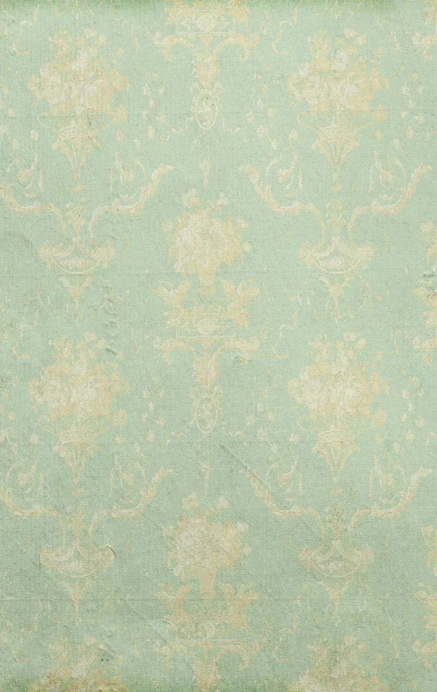 Vintage Mint 10X16 Ultracloth ( 120 X 192 Inch ) Backdrop