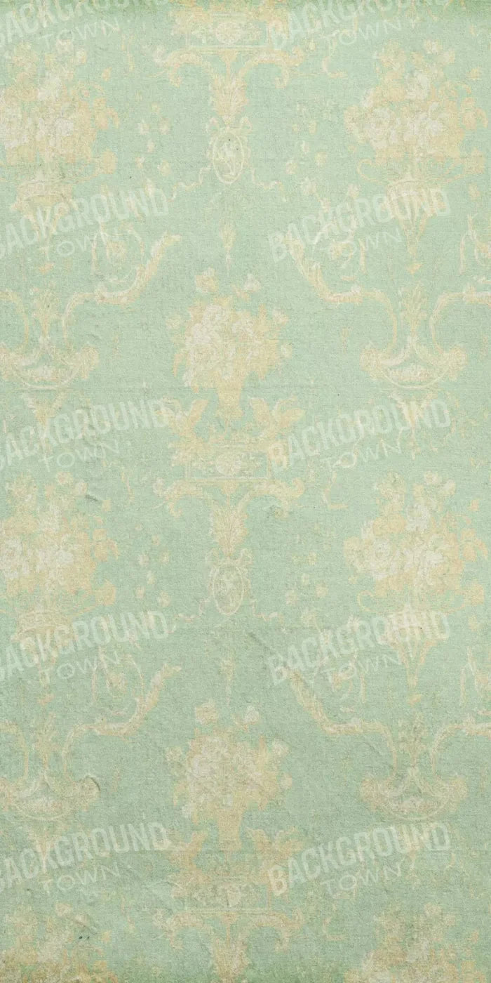 Vintage Mint 10X20 Ultracloth ( 120 X 240 Inch ) Backdrop