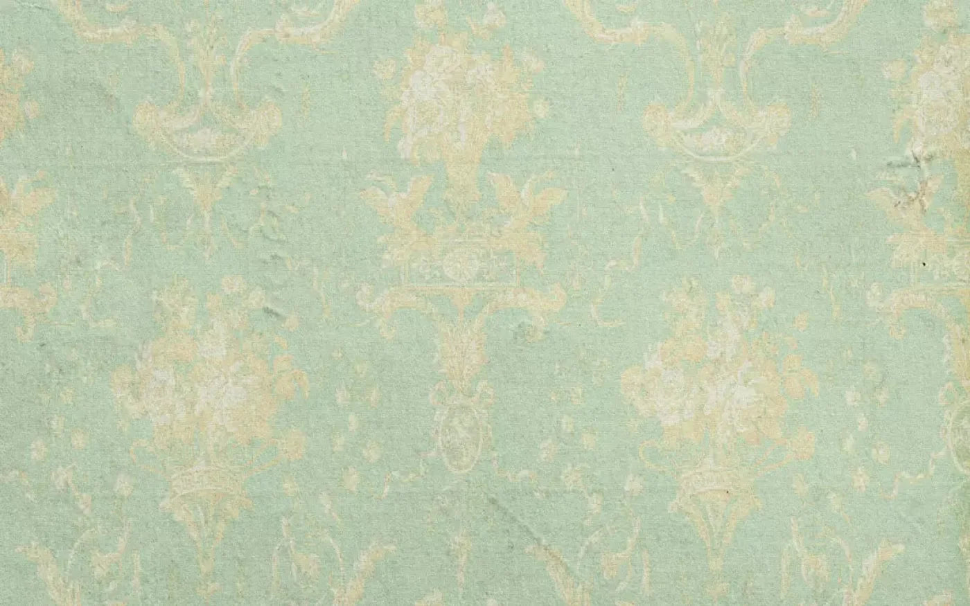 Vintage Mint 14X9 Ultracloth ( 168 X 108 Inch ) Backdrop