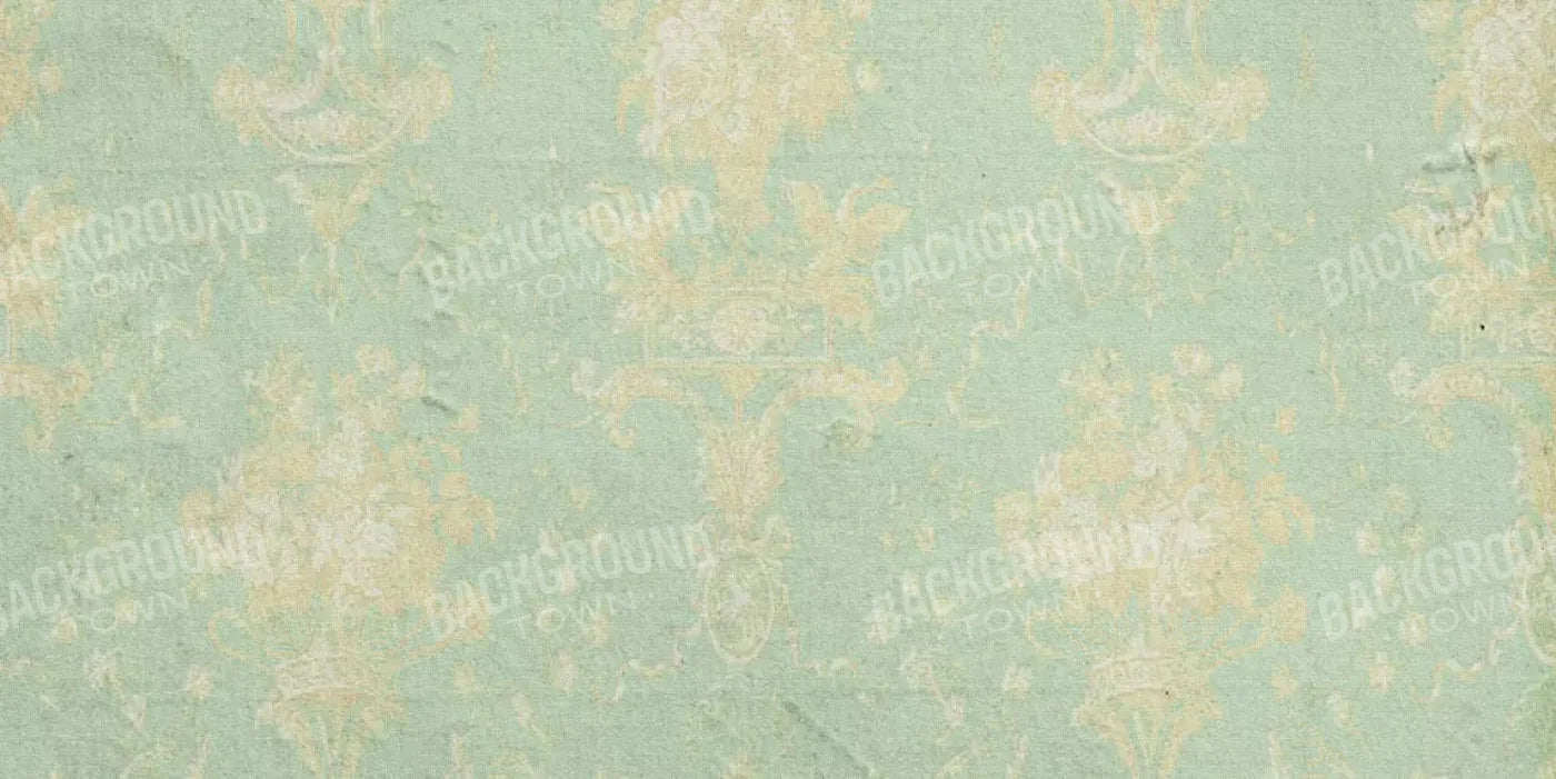 Vintage Mint 20X10 Ultracloth ( 240 X 120 Inch ) Backdrop